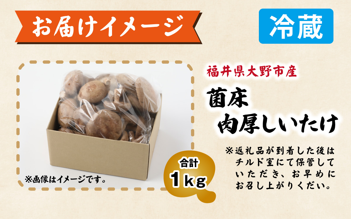 菌床肉厚しいたけ（福井県大野市産）1kg[A-003019]