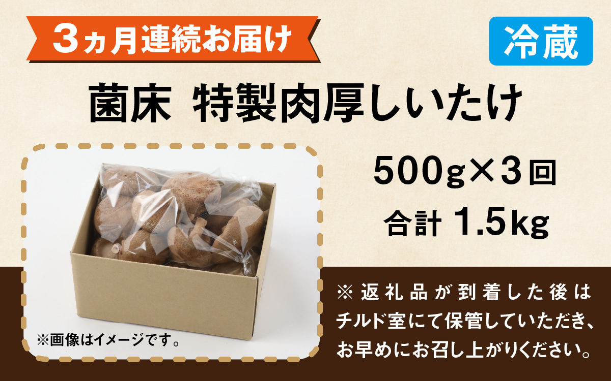 【3ヶ月定期便】菌床肉厚しいたけ（福井県大野市産）500g×3回 計1.5kg[A-003020]