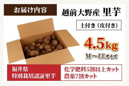 【先行予約】【年明け1月～3月上旬まで発送】越前大野産 里芋 4.5kg  農家直送 さといも [A-008002]