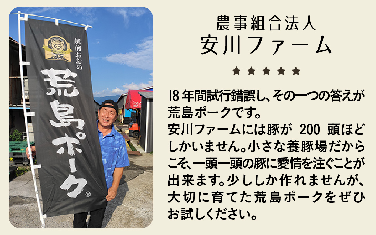 ブランド豚 荒島ポークプレミアムハンバーグ[A-048003]