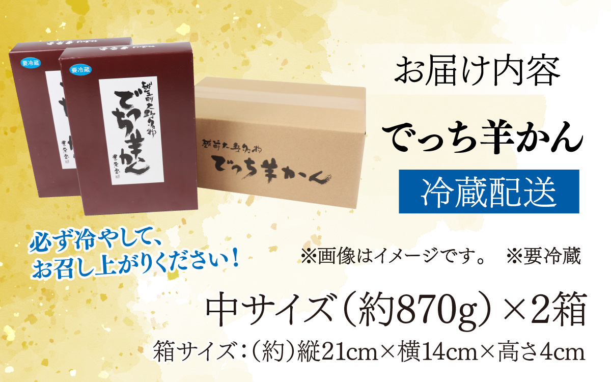 大野市の名水を使った冬限定の「でっち羊かん」（手作り菓子工房 豊栄堂の水ようかん）中サイズ（870g）×2箱【11月以降順次発送】