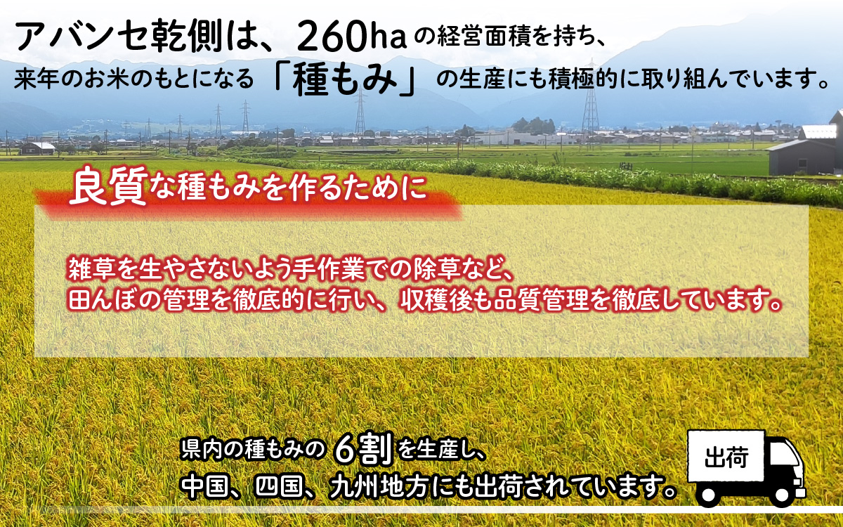 【先行予約】【令和7年産 新米】【3ヶ月定期便】福井県大野市産 JGAP認証 コシヒカリ「あかね」（白米）10kg（5kg×2袋）×3回　計30kg