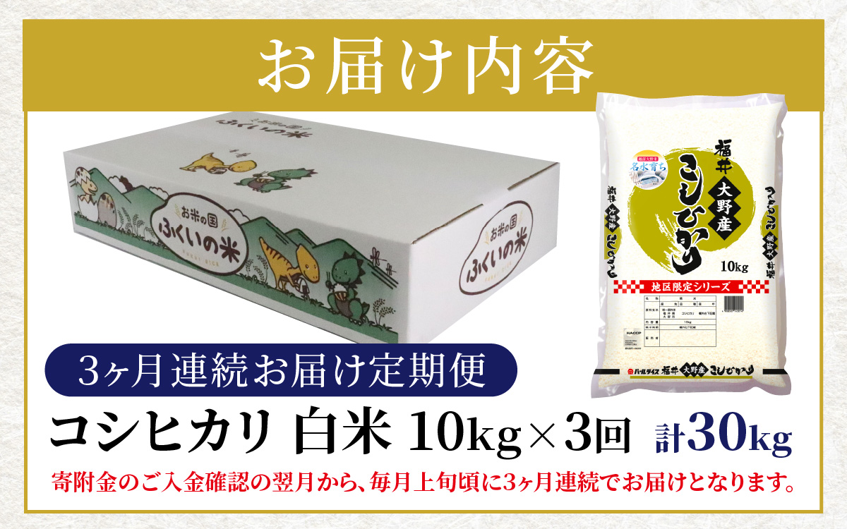 【3ヶ月定期便】【令和7年産 新米】大野産コシヒカリ（白米）10kg×3回 計30kg【大野ブランド米 名水育ち】