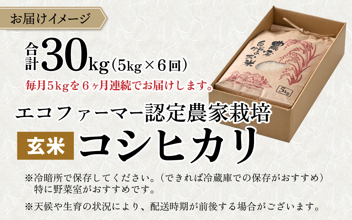 【令和7年産】【6ヶ月定期便】越前大野産 エコファーマー認定農家栽培こしひかり 玄米 5kg × 6回 計30kg