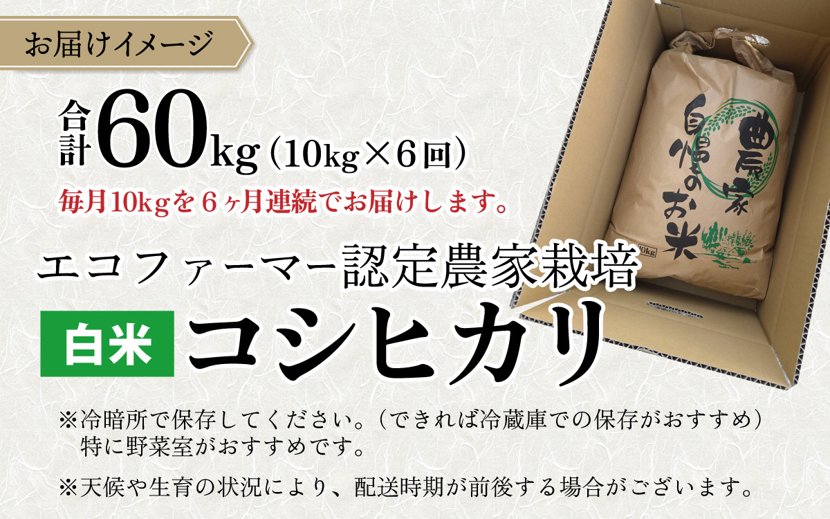 【令和7年産】【6ヶ月定期便】越前大野産 エコファーマー認定農家栽培こしひかり 白米 10kg × 6回 計60kg