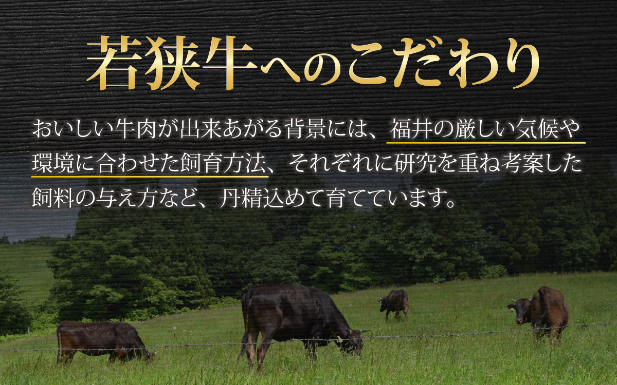 【肉の定期便×6回コース】肉好き大集合！若狭牛 食べ比べ 定期便！【福井のブランド牛肉】【4等級以上】[K-054002]