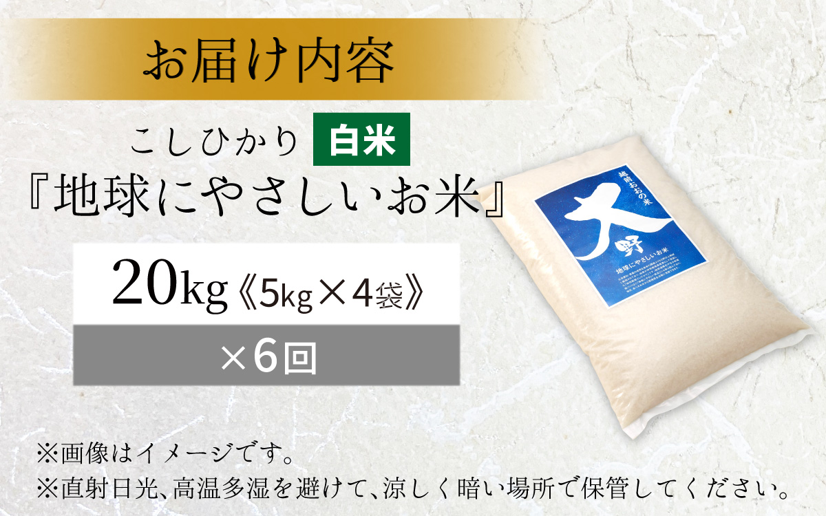 【令和7年産】【6ヶ月定期便】こしひかり 20kg × 6回 計 120kg【白米】減農薬・減化学肥料 「特別栽培米」－地球にやさしいお米－ [P-003003]