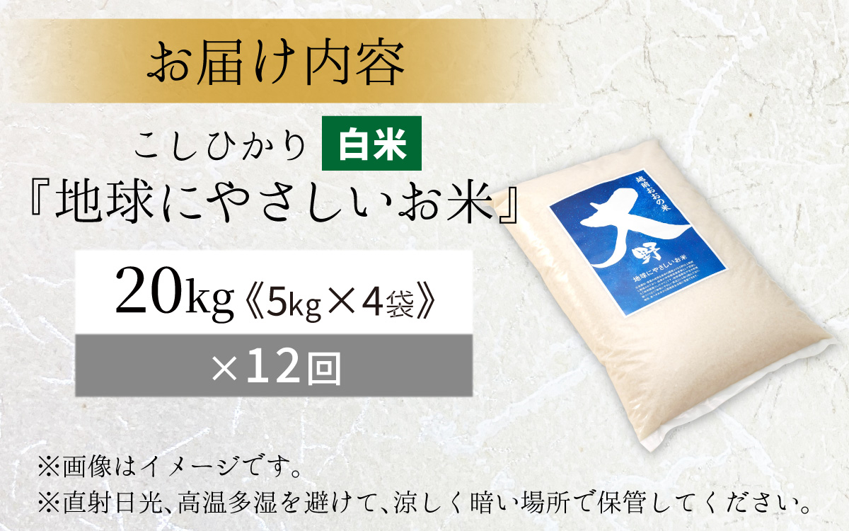 【令和7年産】【12ヶ月定期便】こしひかり 20kg × 12回 計 240kg【白米】減農薬・減化学肥料 「特別栽培米」－地球にやさしいお米－ [T-003002]
