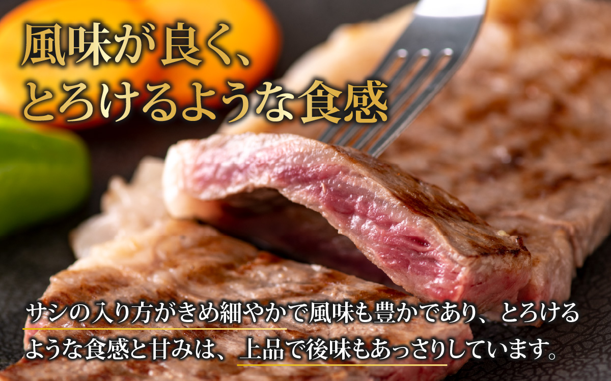 【肉の定期便×6回コース】肉好き大集合！若狭牛 食べ比べ 定期便！【福井のブランド牛肉】【4等級以上】[K-054002]