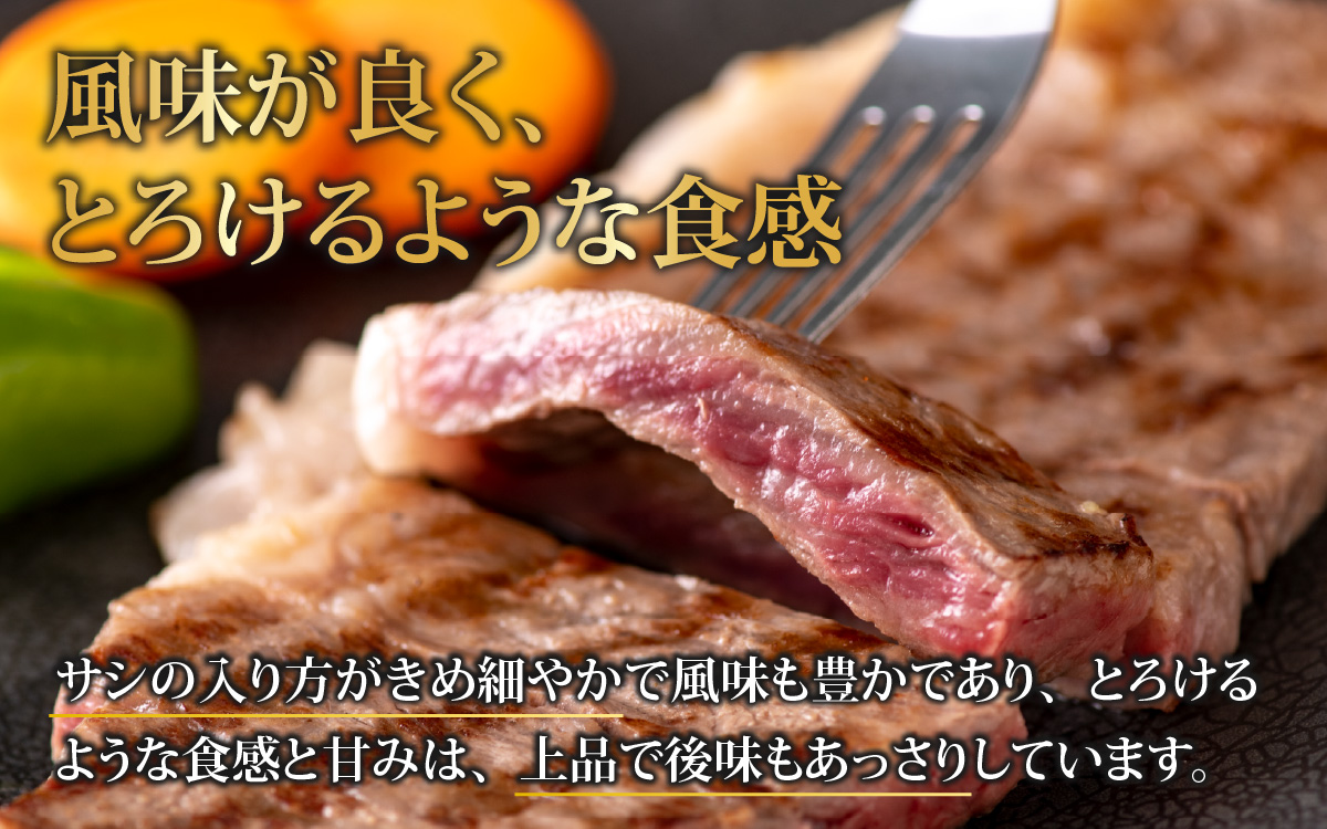 【肉の定期便×12回コース】肉好き大集合！若狭牛食べ比べ 定期便！【福井のブランド牛肉】【4等級以上】[O-054001]