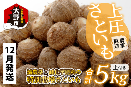【12月発送分】上庄さといも 5kg 減農薬・減化学肥料の特別栽培里芋 農家直送