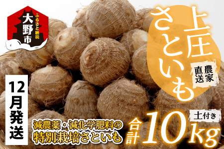 【先行予約】【12月発送分】上庄さといも 10kg 減農薬・減化学肥料の特別栽培里芋 農家直送