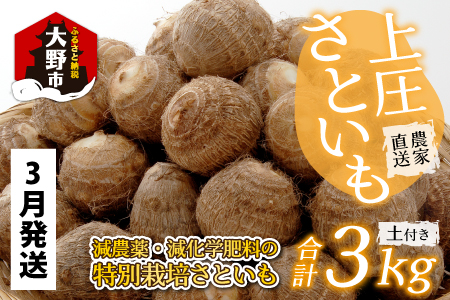 【先行予約】【3月発送分】上庄さといも 3kg 減農薬・減化学肥料の特別栽培里芋 農家直送