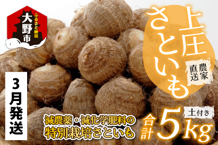 【先行予約】【3月発送分】上庄さといも 5kg 減農薬・減化学肥料の特別栽培里芋 農家直送
