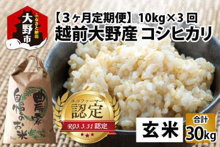 【先行予約】【令和7年産 新米】越前大野産 エコファーマー認定農家栽培こしひかり 玄米 10kg × 3回 計30kg【2025年10月より順次お届け】