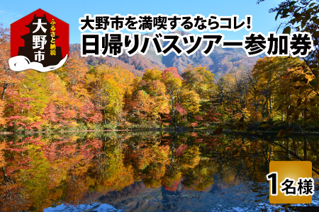 大野を満喫するならコレ！日帰りバスツアー参加券（1名様分）[C-006001]
