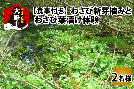 【食事付き】わさび新芽摘みとわさび葉漬け体験（2名様分）[D-006005]