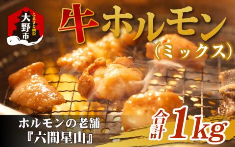 ホルモンの老舗　六間星山の牛ホルモン(ミックス) 500g×2袋 計1kg [A-026001]