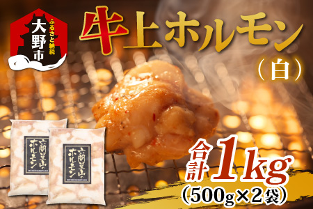 ホルモンの老舗　六間星山の牛上ホルモン(白) 500g×2袋 計1kg [A-026002]