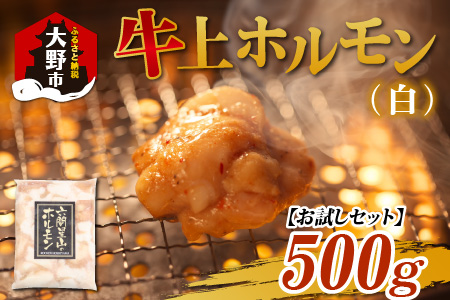 【お試しセット】ホルモンの老舗 六間星山の牛上ホルモン（白）（500ｇ×1袋）[A-026005]