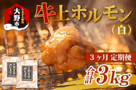 【3ヶ月定期便】ホルモンの老舗 六間星山の牛上ホルモン（白）1kg（500g×2袋）×3回　合計3kg[C-026003]