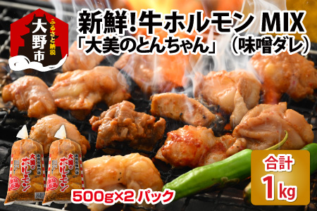 大美のとんちゃん（ミックス）牛ホルモン ミックス 味噌ダレ 1kg（500g×2パック）