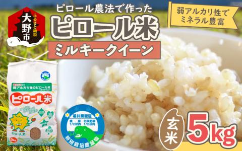 【先行予約】【令和7年産 新米】ミネラル豊富！弱アルカリ性のピロール米 ミルキークイーン 玄米 5kg 化学肥料5割以下・減農薬 [A-008003]