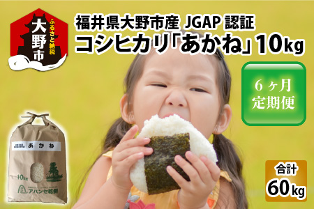 【令和5年産】【6ヶ月定期便】福井県大野市産 JGAP認証 コシヒカリ「あかね」10kg [F-007001]