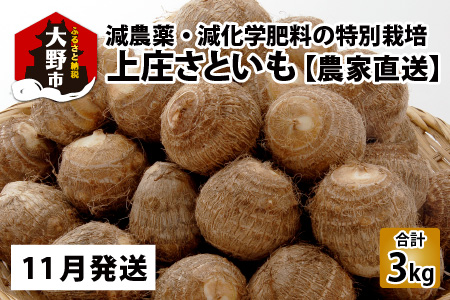 【11月発送分】上庄さといも 3kg 減農薬・減化学肥料の特別栽培里芋 農家直送