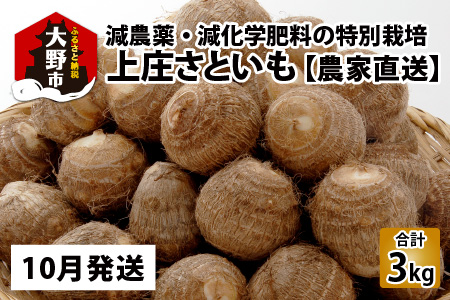 【先行予約】【10月発送分】上庄さといも 3kg 減農薬・減化学肥料の特別栽培里芋 農家直送