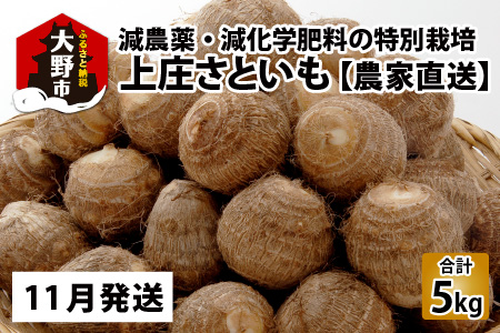【11月発送分】上庄さといも 5kg 減農薬・減化学肥料の特別栽培里芋 農家直送