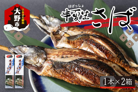 名水の里越前大野の「半夏生さば」1本×2箱[A-011015]