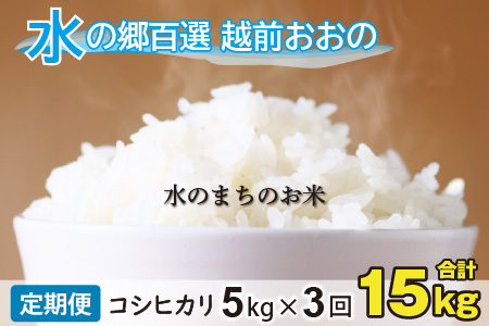【令和7年産 新米】【3ヶ月定期便】こしひかり 5kg×3回 計15kg【白米】「エコファーマー米」水のまちのお米 [B-003004]