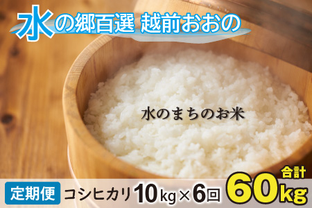 【令和7年産 新米】【6ヶ月定期便】こしひかり 10kg×6回 計60kg【白米】「エコファーマー米」水のまちのお米 [H-003002]