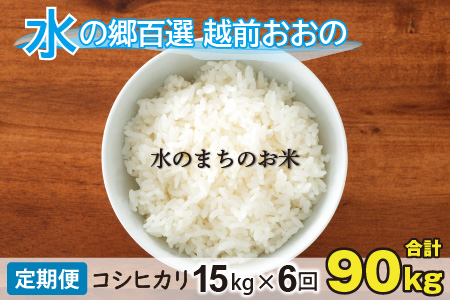 【令和5年産】【6ヶ月定期便】こしひかり 15kg×6回 計90kg（白米）「エコファーマー米」－水のまちのお米－[J-003002]