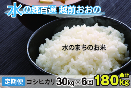 【令和5年産】【6ヶ月定期便】こしひかり 30kg×6回 計180kg（白米）「エコファーマー米」－水のまちのお米－[O-003005]
