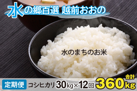 【令和5年産】【12ヶ月定期便】こしひかり 30kg × 12回 計360kg（白米）「エコファーマー米」－水のまちのお米－[Q-003002]