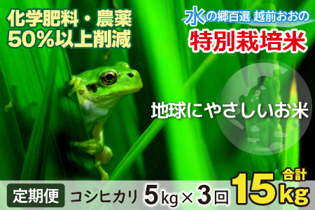 【令和7年産 新米】【3ヶ月定期便】こしひかり 5kg × 3回 計15kg 【白米】減農薬・減化学肥料 「特別栽培米」－地球にやさしいお米－[B-003001]