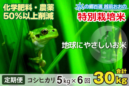 【令和7年産 新米】【6ヶ月定期便】こしひかり 5kg × 6回 計30kg 【白米】減農薬・減化学肥料 「特別栽培米」－地球にやさしいお米－[D-003003]