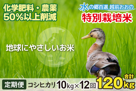 【令和7年産 新米】【12ヶ月定期便】こしひかり 10kg×12回 計120kg【白米】減農薬・減化学肥料 「特別栽培米」－地球にやさしいお米－[N-003001]