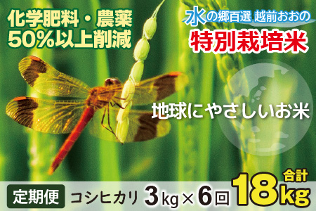【令和7年産 新米】【6ヶ月定期便】こしひかり 3kg × 6回 計 18kg【白米】減農薬・減化学肥料「特別栽培米」－地球にやさしいお米－[B-003002]
