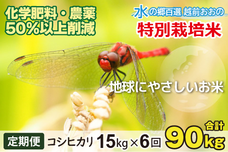 【令和5年産】【6ヶ月定期便】こしひかり 15kg × 6回 計 90kg【白米】減農薬・減化学肥料 「特別栽培米」－地球にやさしいお米－ [K-003001]