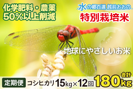 【令和7年産】【12ヶ月定期便】こしひかり 15kg × 12回 計 180kg【白米】減農薬・減化学肥料 「特別栽培米」－地球にやさしいお米－ [O-003001]