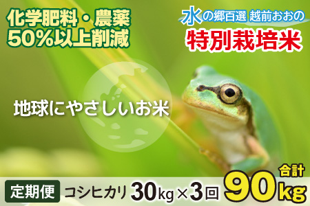 【令和7年産】【3ヶ月定期便】こしひかり 30kg × 3回 計 90kg【白米】減農薬・減化学肥料 「特別栽培米」－地球にやさしいお米－[K-003002]