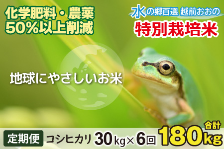 【令和7年産】【6ヶ月定期便】こしひかり 30kg × 6回 計 180kg【白米】減農薬・減化学肥料 「特別栽培米」－地球にやさしいお米－[O-003004]