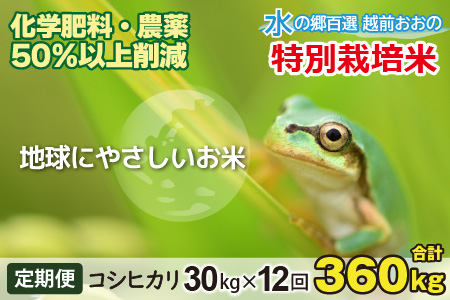 【令和5年産】【12ヶ月定期便】こしひかり 30kg × 12回 計 360kg【白米】減農薬・減化学肥料 「特別栽培米」－地球にやさしいお米－[R-003001]