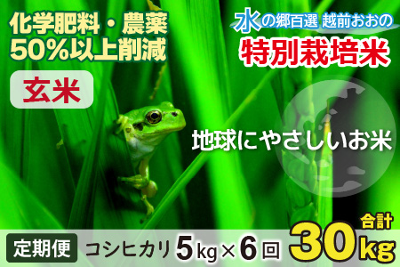 【令和7年産 新米】【6ヶ月定期便】こしひかり 5kg × 6回 計 30kg【玄米】減農薬・減化学肥料 「特別栽培米」－地球にやさしいお米－[D-003006]