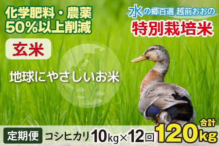 【令和7年産 新米】【12ヶ月定期便】こしひかり 10kg × 12回 計 120kg【玄米】減農薬・減化学肥料 「特別栽培米」－地球にやさしいお米－[L-003001]