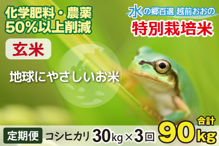 【令和5年産】【3ヶ月定期便】こしひかり 30kg × 3回 計 90kg【玄米】減農薬・減化学肥料 「特別栽培米」－地球にやさしいお米－[J-003004]