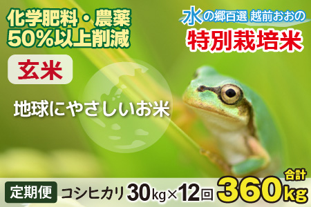 【令和5年産】【12ヶ月定期便】こしひかり 30kg × 12回 計 360kg【玄米】減農薬・減化学肥料 「特別栽培米」－地球にやさしいお米－[Q-003003]